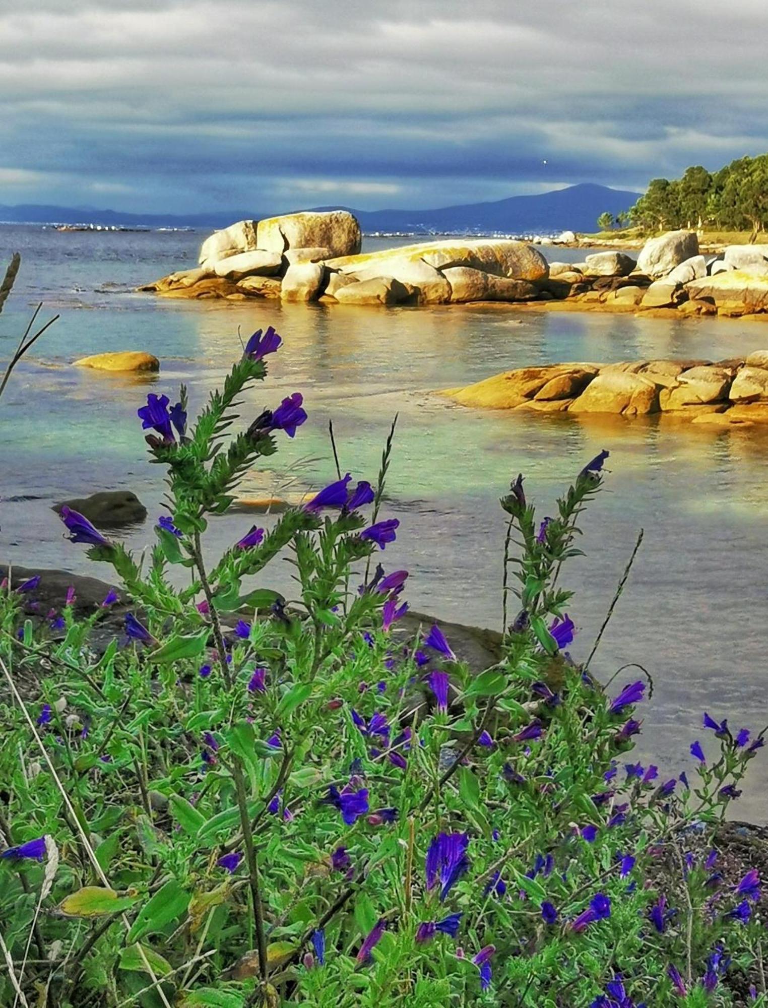 Ravella * Vilagarcia de Arousa